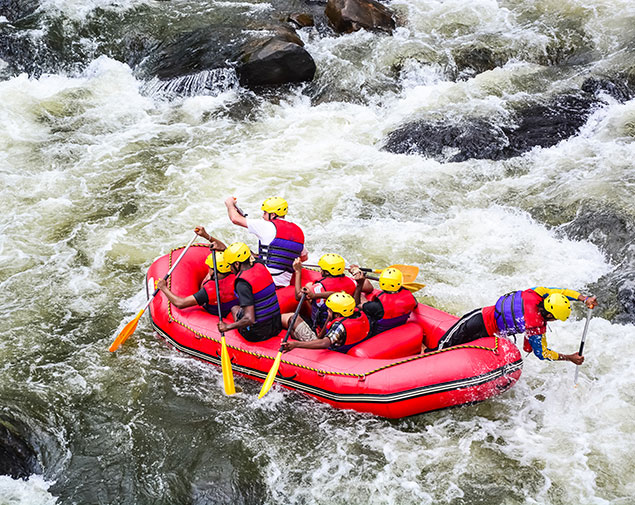 This image for Image Layouts addon